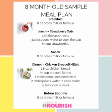 8 Month Old Meal Plan Nutritionist Approved Creative Nourish In 2020 Meal Planning Baby Meal Plan Easy Baby Food Recipes