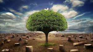 3d Nature Wallpapers For Desktop Free Download Google Search Nature Home Plans Ideas Picture All top viewed top download. tcnjaaa org