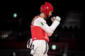 Vito dell'aquila (born november 3, 2000) is an italian taekwondo athlete who won a bronze medal at the 2017 world taekwondo championships.1. 7w5stcsjwot Lm