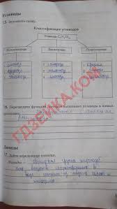 гдз по русскому 10 11 класс гольцова шамшин мищерина Konspekt Po Geografii Dla 7klassa Po Paragrafu Asblatul
