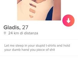 21 Tinder Bios That Deserve Like A Pulitzer Prize Or Something Spruche