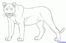 How to draw a lion. Male Anime Lion Drawing Novocom Top