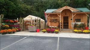 country basket produce, 806 mountain