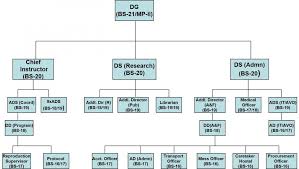 About Us Organization Chart Page National Institute Of