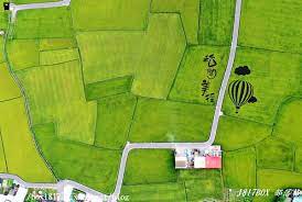宜蘭 冬山 宜蘭版伯朗大道 三奇村稻間美徑 1817box部落格 痞客邦 baseball field formosa field