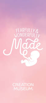 You are beautifully and wonderfully made. Fearfully Wonderfully Made Pamphlet Pamphlet Answers In Genesis
