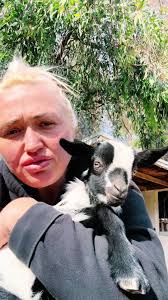 Smells Like A Bucket of Billy Goat