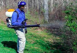 We use the most effective heat treatment to deliver environmentally safe pest control. Effective Home Pest Control In Md Va And Dc