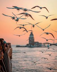 Bu Sehr I Sitanbul Ki Bi Misl U Behadir Bir Sengine Yekpare Acem Mulku Fedadir Bu Istanbul Sehri E In 2020 Istanbul Turkey Photography Istanbul City Turkey Photos