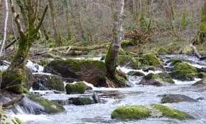 La Besbre Amont Federation De Peche De L Allier