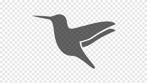 In computer code, a lot of different signs and symbols are used. Hummingbird Computer Icons Symbol Fauna Bird Png Pngegg