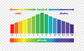 Oct 30, 2017 · 2. Diagram Ph Universal Indicator Alkaline Diet Acid Healing Fibroids A Doctor S Guide To A Natural Cur Diagram Ph Png Pngegg