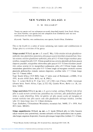 Image result for Selago anatrichota × goetzei