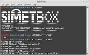 Almost all are default settings except choosing other linux 2.6.x kernel as guest operating systemmemory = 32m hard disk = 52m. W00tsec
