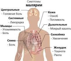 Horečka, někdy přerušovaná (pocit chladu následovaný zimnicí). Malarie Zpusobuji Priznaky Diagnostiku Lecbu A Prevenci Infekcni Onemocneni Uzitecne Informace A Tipy Na Peci O Sebe Zdravi Vyziva A Dalsi