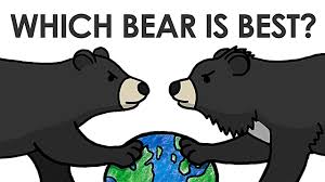Which Bear Is Best Youtube