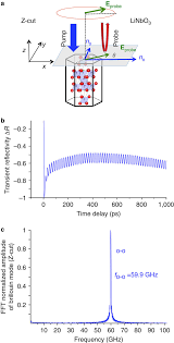 Multiplexers are essential in communication equipment for placing many signals onto a single channel using time division multiplexing (tdm) to reduce the multiplexers can be used for generating any logic function. Ultrafast Elasto Optic Detection In Z Cut Lno A Sketch Of The Download Scientific Diagram