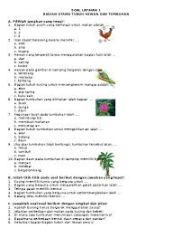 Soal dan jawaban gerak pada hewan. Bab 08 Gerak Pada Tumbuhan Latihan Soal