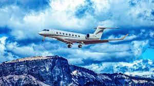 Image result for Tan 2009 Fleet