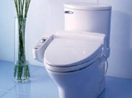 Most modern bidets are japanese style (built into the toilet itself or replacing the toilet seat) rather than european style (discrete units which sit next to your toilet) and thus are much easier to install and use outside of a new construction. Euro Style Personal Hygiene With The Bidet Hgtv