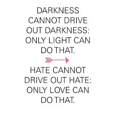 Only light can do that. Darkness Cannot Drive Out Darkness The Red Fairy Project