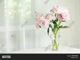 Maybe you would like to learn more about one of these? Pink Peonies Glass Image Photo Free Trial Bigstock