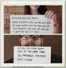 Pin By Pam Bergazine On Now Laugh It S Funny Stories That Will Make You Cry Psychology Facts Step On A Lego