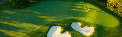 Book A Tee Time Dragon S Fire Golf Club