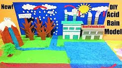 B Ed Class Science Models Science Models Science Exhibition Models