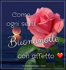 Pin Di Luana Lr Su Buonanotte Nel 2020 Auguri Di Buona Notte Buonanotte Buona Notte