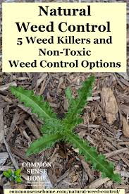 Natural Weed Control Weed Killers And Non Toxic Weed Control Options