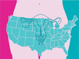 A malignant tumor always has its own vascular supply. Ovarian Cancer Types Diagnosis And Treatment