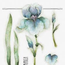 We did not find results for: Pin By Maria Waggoner On Digital Art Flower Art Watercolor Blog Flower Painting