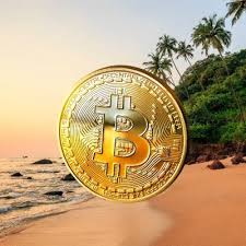 Tesla (nasdaq:tsla) ceo elon musk has to take some of the. Bitcoin Goa On Twitter 31st March 2021 Will Go Down In The Annals Of History As The Day Bankers Goldman Sachs And Teletubbies Understood Bitcoin But Not Flipkart