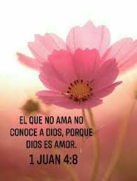 Pin De Yuli Penaloza En Citas Biblicas Mensajes Frases De Bendiciones Frases De Animo Dios Versiculos De La Biblia