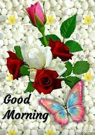 Good morning hd gif free download. Good Morning Flower Images Download Hd Hutomo