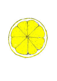 Lemon Slice Print Citrus Print Watercolour By Bernieandroseart Yellow Citrus Wall Art Lemon Watercolour Print Fruits Drawing Fruit Illustration Fruit Wall Art