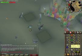 They are planted at the seaweed patch in the underwater area of fossil island. Farming Pet 4th Seaweed Patch 37 Farming Ironscape
