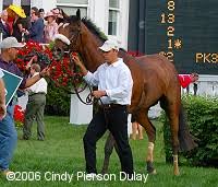 2006 Kentucky Derby Results