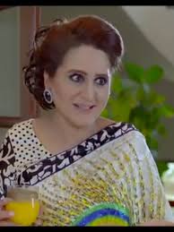 Pakistani Drama Series Highlights