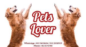 ‎بسم الله الرحمن الرحيم assalamualaikum disini saya ada menjual pelbagai jenis keperluan haiwan peliharaan dengan. Best Pet Shops In Melaka For Pet Lovers Melaka Travel Guide