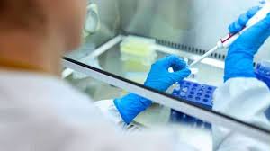 Us department of health and human services; Dna Explainer Rt Pcr Or Rapid Antigen Test Which Test Is Better