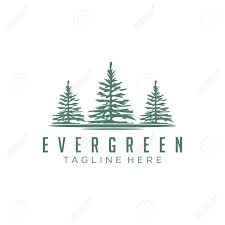 In the end, it is a matter of preference. Evergreen Pines Spruce Cedar Trees Logo Design Royalty Free Cliparts Vectors And Stock Illustration Image 140815151