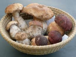 Recetas fáciles para cocinar rico y variado con poco dinero. Boletus A La Plancha Recetas Veganas Recetas Vegetarianas Vegetarianismo Net