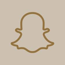 To search more free png. Snapchat App Icon App Icon Snapchat Icon Boho Icons