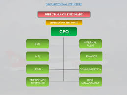 Organisational Structure Of Kingfisher Airlines