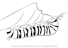 Our drawing lessons continue with a super easy how to draw a caterpillar step by step tutorial. Learn How To Draw A Caterpillar Insects Step By Step Drawing Tutorials
