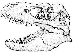 Zahn und pfannkuchen zeichnen und malen für kinder farben lernen, malbuchvergessen sie nicht zu mögen und abonnieren!danke fürs zuschauen!zeichnen für. Pfalzmuseum Fur Naturkunde Pressemitteilungen
