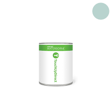 Image result for Medium Turquoise 1966 Dodge