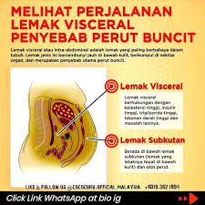 Scott butsch dari cleaveland clinic, perut buncit mempengaruhi lelaki dan perempuan dengan cara yang berbeza. Cococurv Ain Malaysia Infooftheday Perut Buncit Atau Boroi Adalah Satu Masalah Yang Sering Berlaku Terutamanya Dalam Kalangan Kaum Lelaki Tetapi Ini Tidak Bermakna Bahawa Golongan Perempuan Tidak Berpotensi Untuk Mendapat Perut Buncit Memandangkan